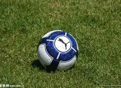 李金羽深情,剖析执教沈,阳铁人,博鱼体育官网,博鱼体育app,博鱼体育APP下载