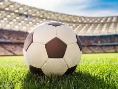 李金羽深情,剖析执教沈,阳铁人,博鱼体育官网,博鱼体育app,博鱼体育APP下载